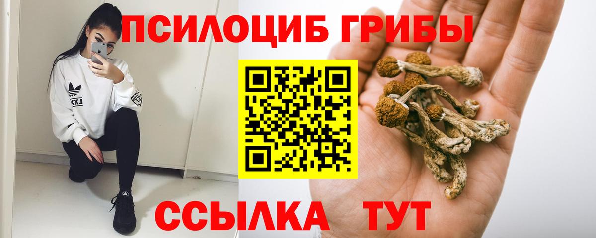 Псилоцибиновые грибы Magic Shrooms Дивногорск